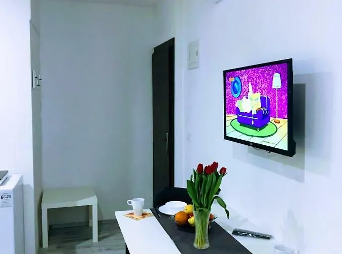 Zpula Center And 풀라